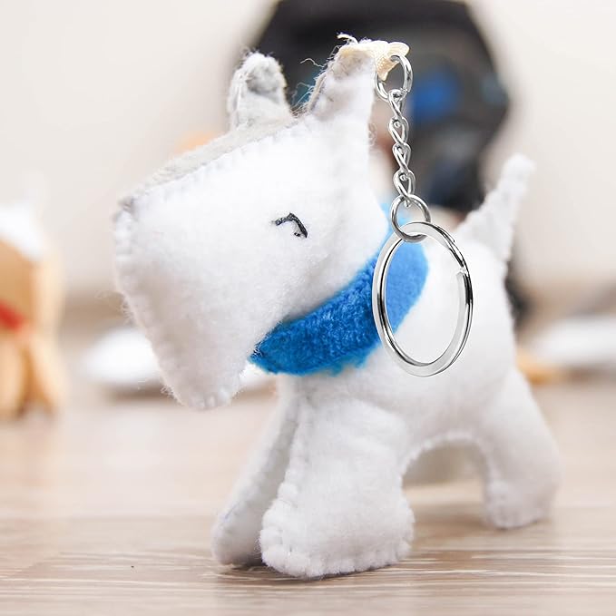 CREST 5 pcs Surgical and Marine Grade Stainless Steel Split Ring for Keychains 1 inch 25mm SS316L Key Rings for Car Keys