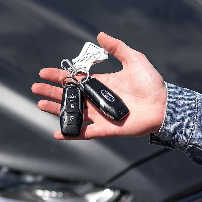 Geeice Metal Keychain Holder for Belt Heavy Duty Carabiner with Keyring Clips Organizer for Car Keys, Zinc Alloy