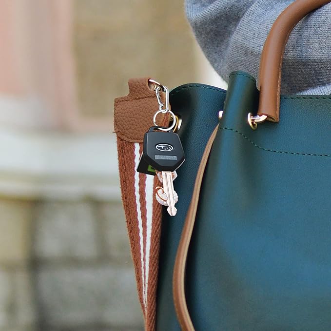 Geeice Metal Keychain Holder for Belt Heavy Duty Carabiner with Keyring Clips Organizer for Car Keys, Zinc Alloy