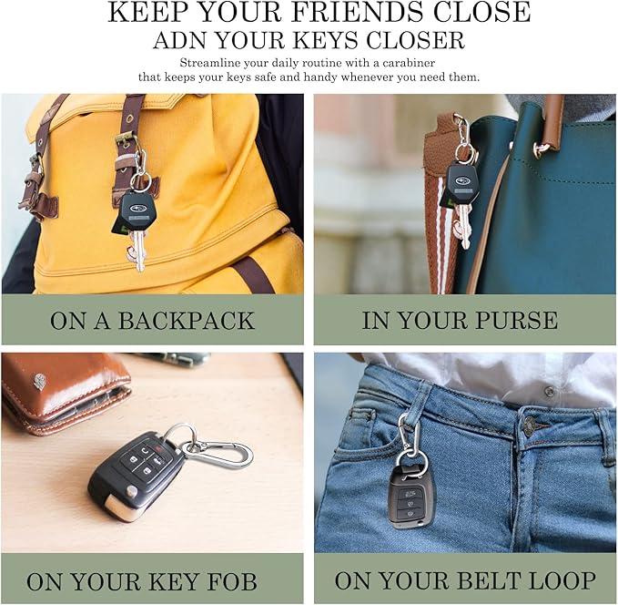 Geeice Metal Keychain Holder for Belt Heavy Duty Carabiner with Keyring Clips Organizer for Car Keys, Zinc Alloy