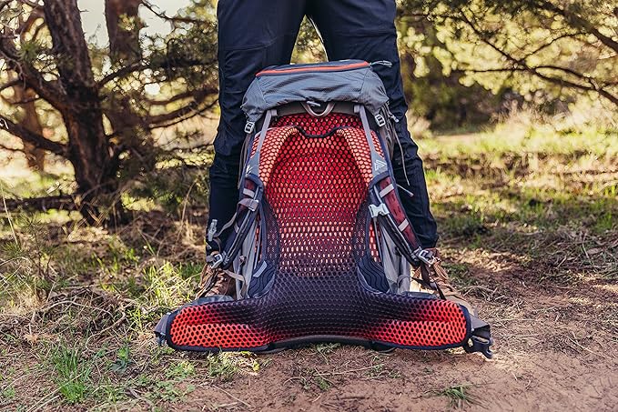 Gregory Facet 45L Women's Ultralight Backpacking Pack with Freefloat Suspension, Aluminum Frame, Ventilated Backpanel, Medium, Sunset Grey